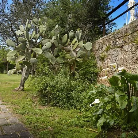 Fata Bianca Villa Convento